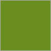 314 Olive