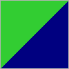 334 Lime/Navy